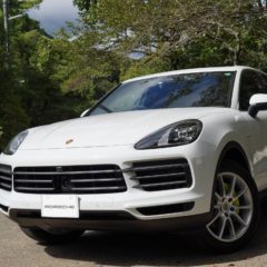 New Cayenne