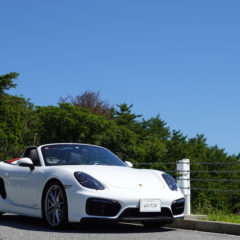 Porsche Boxster GTS