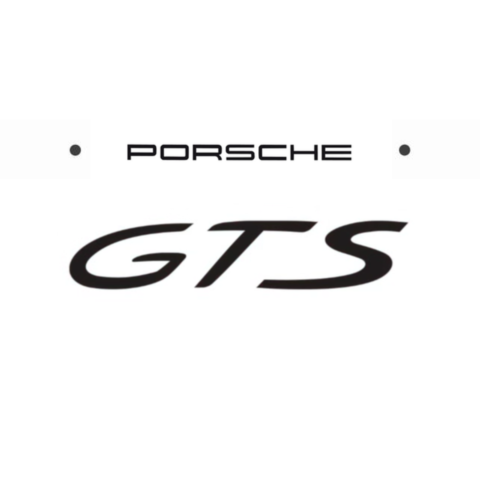 GTS logo