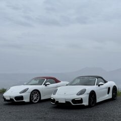 Boxster GTS (981)