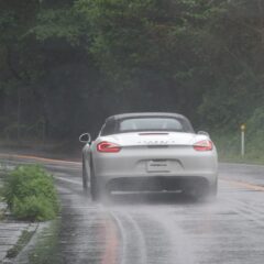 Boxster GTS (981)