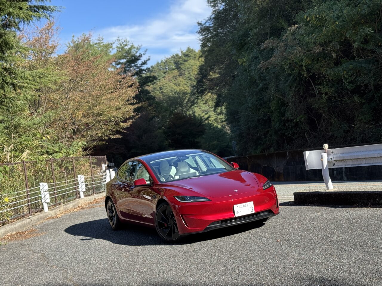 Tesla Model 3 Performance