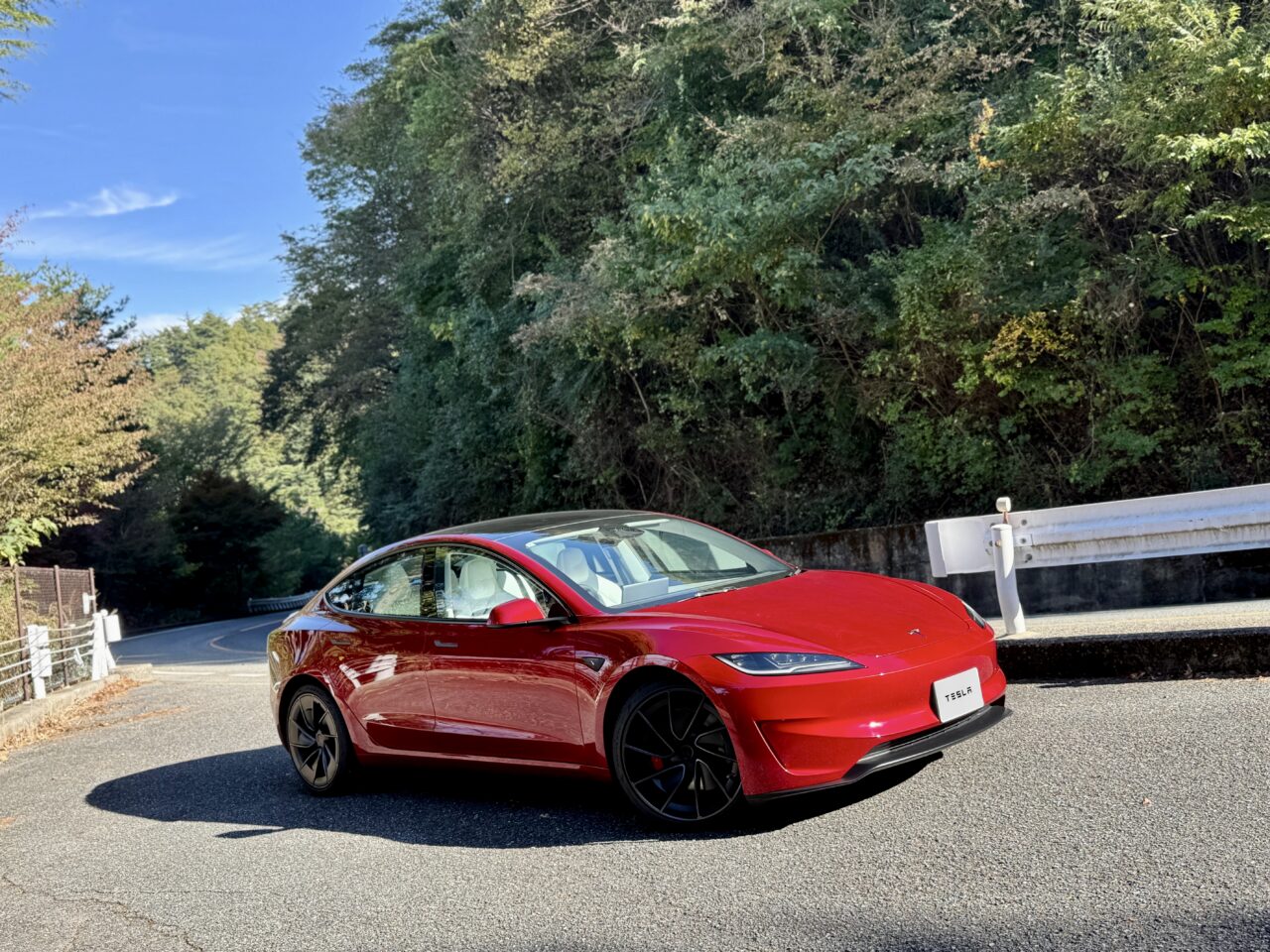 Tesla Model 3 Performance